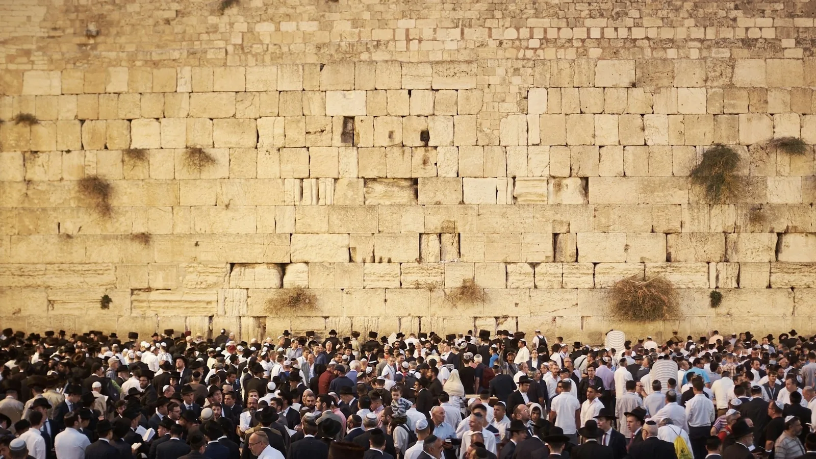 ¿Deben los cristianos apoyar a Israel? Lo que la Biblia realmente dice