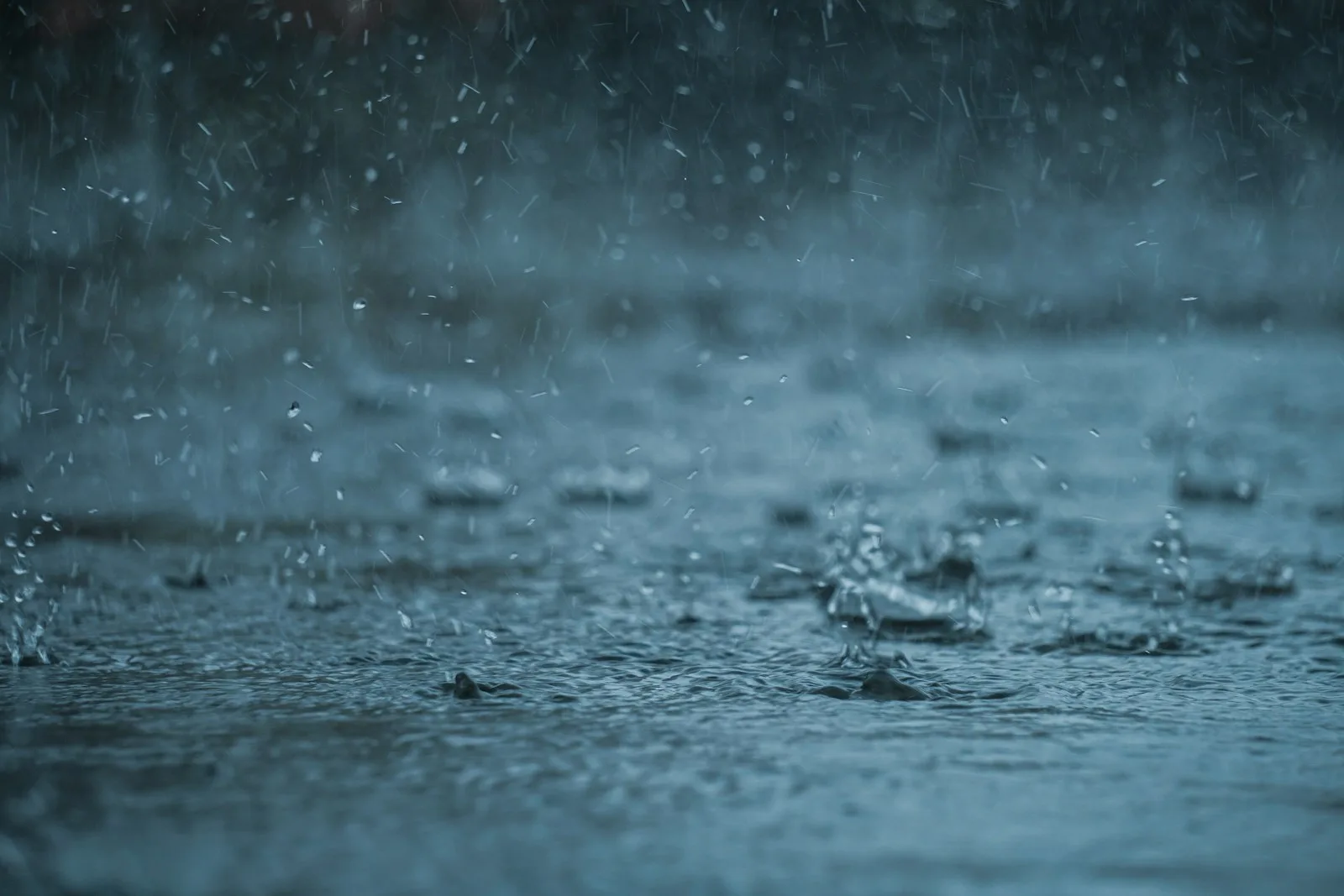 Heavy rain falling on a dark water surface